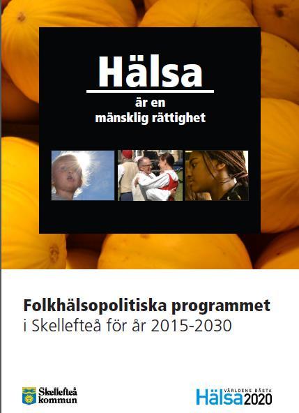 Folkhälsorådet i Skellefteå Folkhälsorådet bildades 1999 på initiativ av Västerbottens läns landsting Politisk mötesplats för kommunens nämnder och Region Västerbotten i folkhälsofrågor