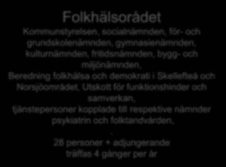 7 personer träffas 4 gånger per år Folkhälsorådet Kommunstyrelsen,