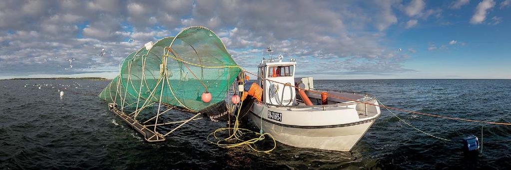 landsbygdsnätverket SMIDIGA TJÄNSTER FÖR SKÄRGÅRDS- OCH FRITIDSBOSATTA SAMT TURISTER Utbudet av offentliga tjänster ändrar karaktär. Allt fler tjänster går att få i digital form.