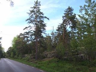 Sid 7 (14) Bild från väg 1183 mot området.