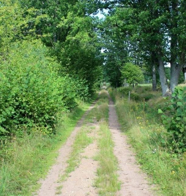 anhalten efter Fliseryd och som fungerade som trafikplats ända fram