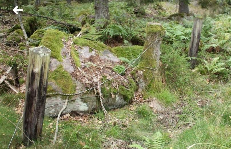 järnvägsbanken, vilket visar sig vara Finsjölund som jag vill