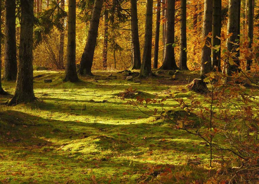 Naturum flyttar ut Höstlov på naturum Hitta ut till Vattenrikets besöksplatser och upplev naturen på olika sätt!