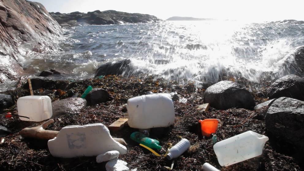 Plastrena öar 2019 Föreningen Flatön har gått med i ett projekt för att få öar rena från skräp.