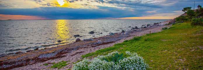 KIMITOÖNS KOMMUN SOM SKÄRGÅRDSKOMMUN Kimitoöns kommun vill enligt sin vision vara Finlands mest smidiga och livskraftiga skärgårdskommun - präglad av aktivt företagande i inspirerande, havsnära miljö.
