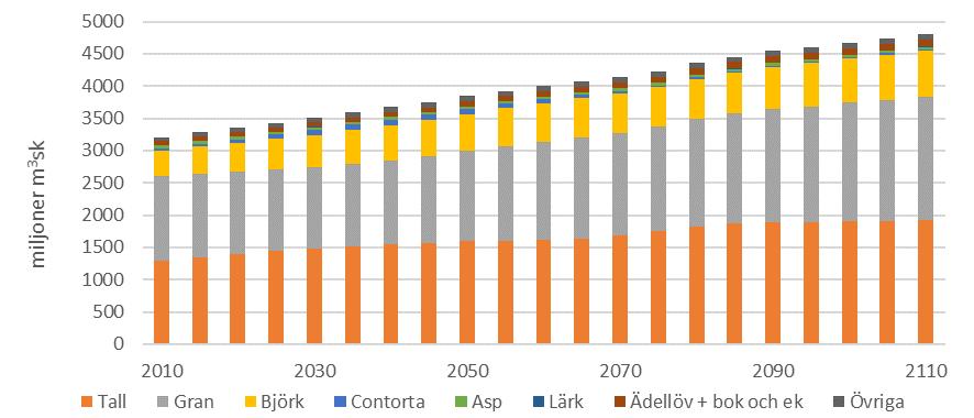 Figur 1 beskriver nettotillväxtens, avverkningens och virkesförrådets utveckling över kommande 100-årsperiod. Tillväxten ökar under perioden med ca 41 miljoner m 3 sk 18 totalt (ca 39 procent).