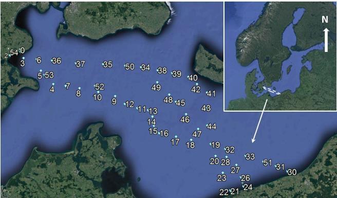 Resultaten från den meteorologisk-oceanografiska studien har använts som input-data vid utformningen av projektdokumentationen för rörledningen.