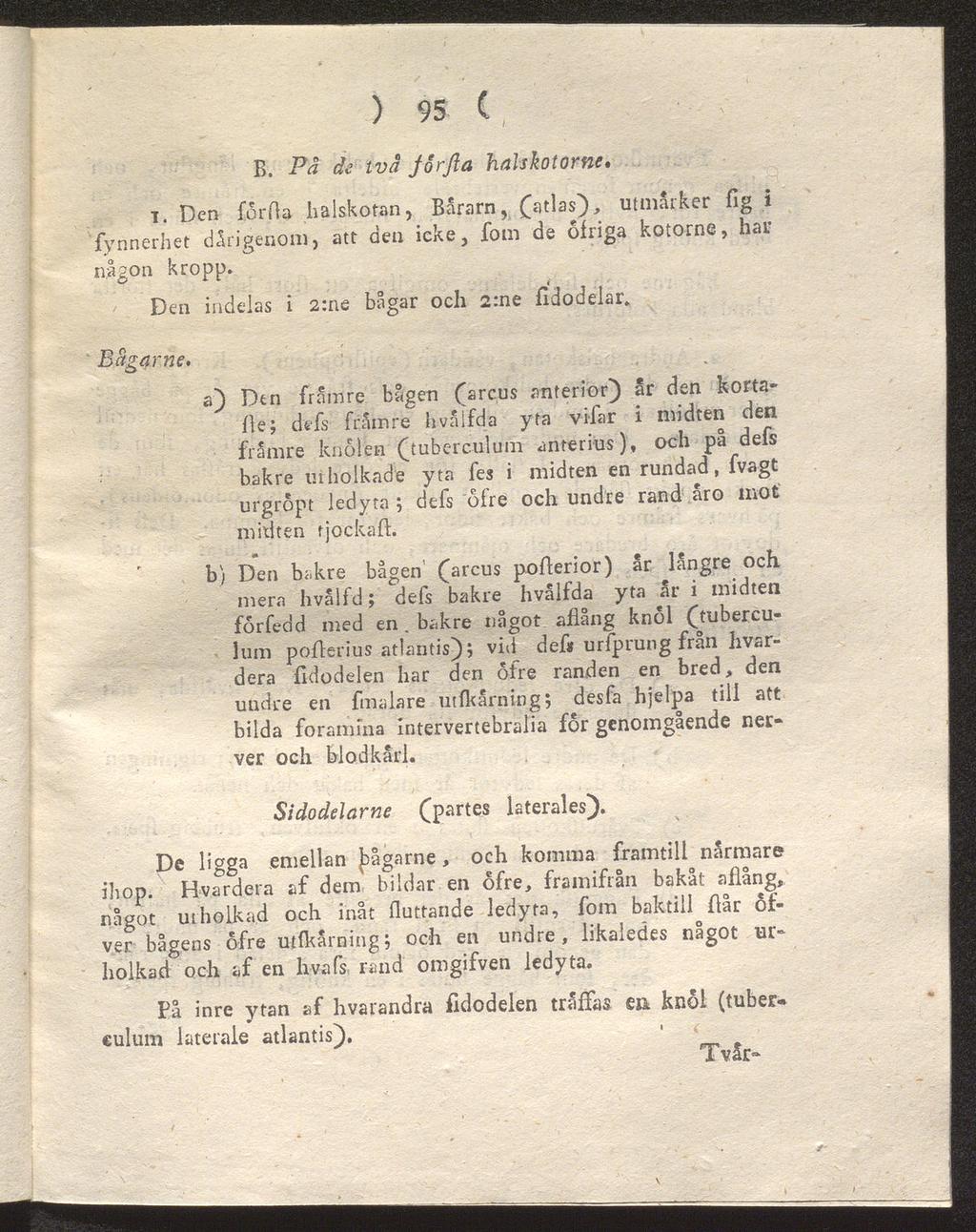 ) 95 ( B. Pä de tvä jorfta halskotorne. i. Den forfla ha Iskotan, Bårarn, (atlas), utmärker fig i fynnerhet därigenom, att den icke, fom de öfriga kotorne, har någon kropp.