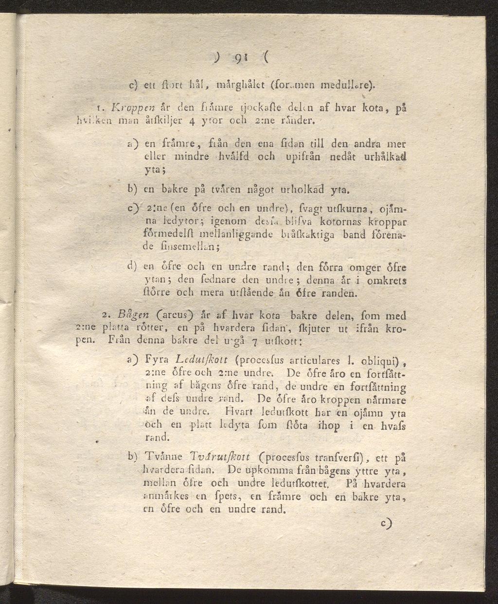 ) 9< ( c) ett flört häl, mårghålét (for<.men medulläre). i. Kroppen ar den främre tjockafle dtlai af livar kota, pä åtfkiljer 4 ytor och 2:ne ränder.