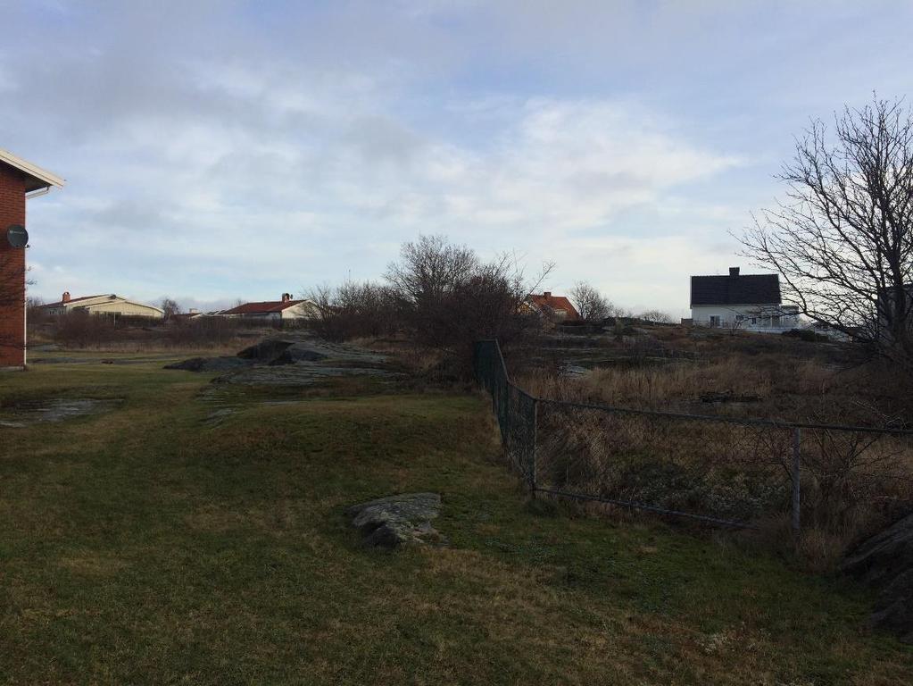 Berget ovanför/norr om Wedels område.