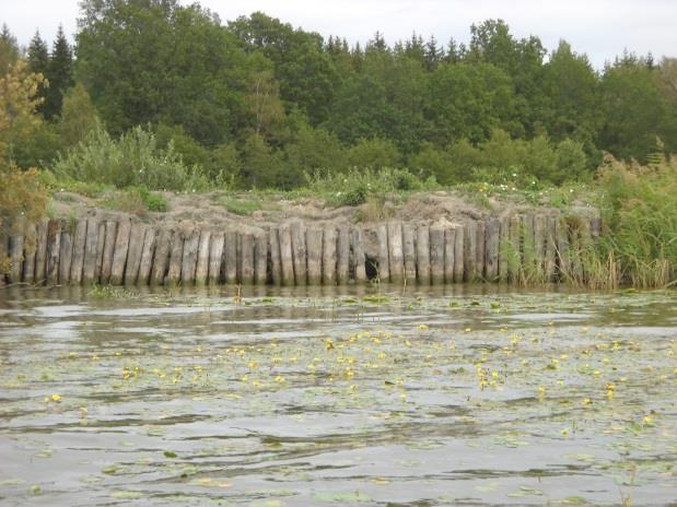 Händelser under året Sjögull Miljökontoret inventerade under sommaren 218 utbredningen av sjögull längs Mälarens stränder från Stäholm till och med Stäudd.