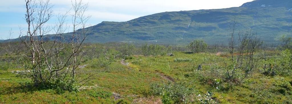 Omfattar A08, foto från augusti 2014