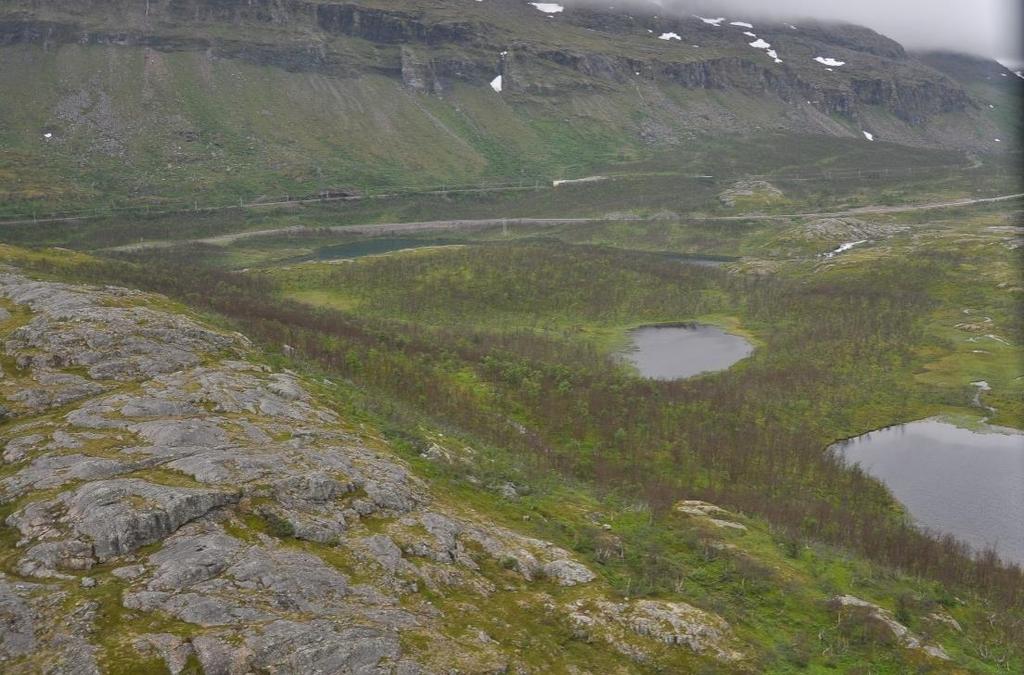 Figur 16, Kuokkel, utsikt från