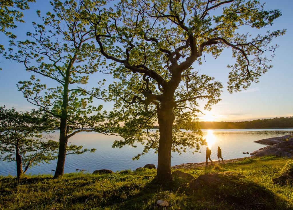 Länkade