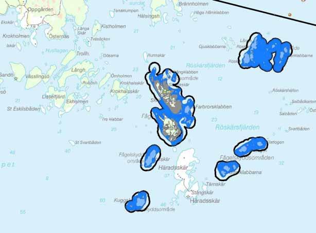 Natura 2000-område Natura 2000-kod Diarienummer Bilaga 2 Sida 38 av 39 Skräckskär mm Naturtyper: 8230, 1620, 1630, 1150 Röskär är ett björkskär i yttersta havsbandet.