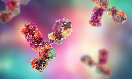 GLYCOSORB-ABO Glycosorb-ABO nanokirurgi på molekylnivå Specifik.