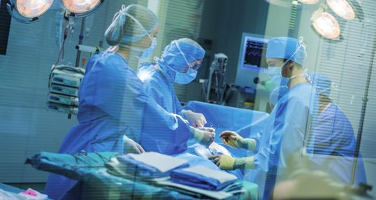 DETTA ÄR GLYCOREX Glycorex Transplantation AB (publ) är ett medicintekniskt företag som bedriver utveckling, produktion och försäljning inom