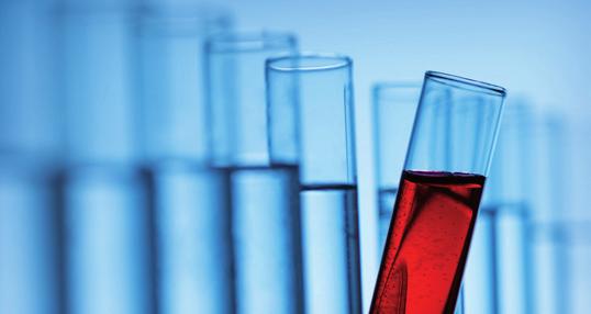 Företagets huvudprodukt Glycosorb-ABO möjliggör transplantationer oavsett blodgrupp hos givare respektive mottagare.