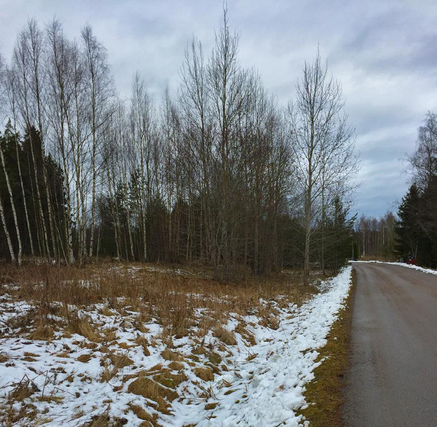 Om avbaningsmassor används ska massorna återföras i samma vegetationstyp som de tagits från. Massor från olika vegetationstyper får inte blandas.