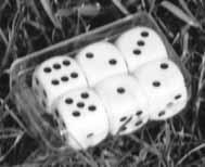 TÄRNINGAR På fotografiet här intill ser du sex speltärningar märkta (a) till (f).
