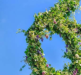 Klockan 14 reses midsommarstången och i år blir det dans till levande musik.