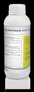Cliophar 600 SL För bekämpning av örtogräs Stark effekt mot svårbekämpade djuprotade ogräs Speciellt mot tistel, molke, baldersbrå och kamomill Effektiv flytande formulering.