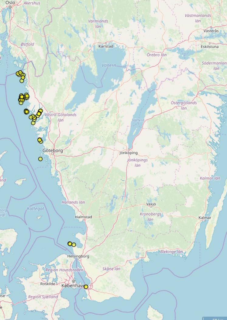 11 Tack Tack till marina faunava ktare för deras va rdefulla bidrag under 2018 med dykinsatser och rapporter till Artportalen: Christoffer Sa
