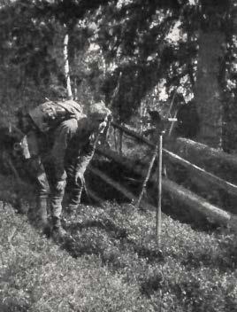 Förändringar i
