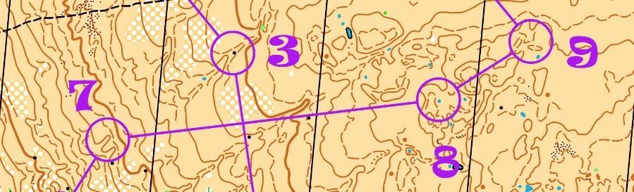 En medeldistans bana som startar på toppen av hundfjället dvs samma ställe som användes för start på den berömda medeldistans etappen på Oringen 2008. Mål är beläget i Trollskogen.