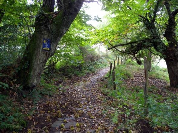 Camino Francés, O Cebreiro Santiago de Compostela, 11 nätter 4(8) litet samhälle där du kan beundra ett av Galiciens vackraste medeltida kors, som finns utanför kyrkan.