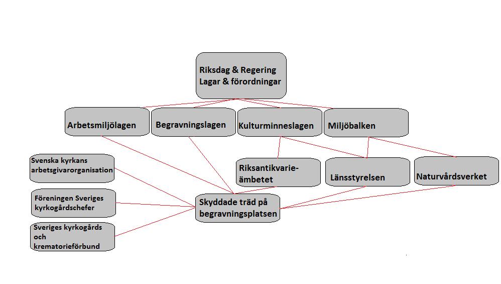 Illustration över det hierarkiska systemet Figur 1, Modell över hierarkin av de som bestämmer eller har åsikter, vid eventuellt utbyte av träd på en begravningsplats, som är anlagd innan 1940 och där