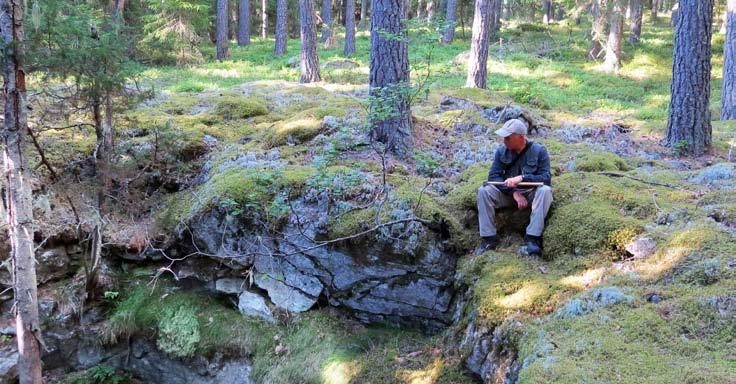 Archelon har under andra halvåret 2018 gjort två utdelningar. Den ena i Goldore där aktieägarna erhöll en B-aktie i Goldore för varje 127 st Archelon aktier (oavsett aktieslag.