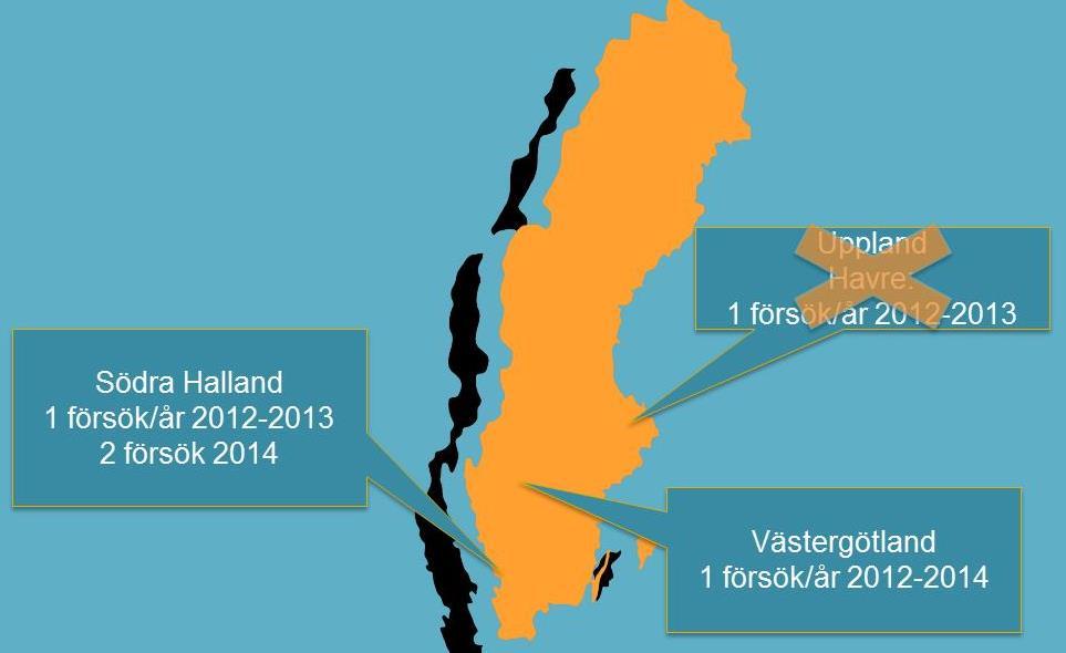 Hur väl stämmer C/N-kvoten i fält? Nio försök i havre A. 0 kg N/ha B. 40 kg N/ha C. 80 kg N/ha Axan D. 100 kg N/ha E.