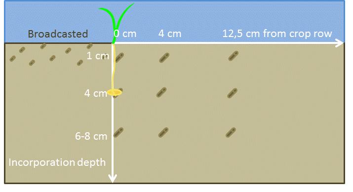 Conclusion Incorporation important on clay soil Placement close to crop row