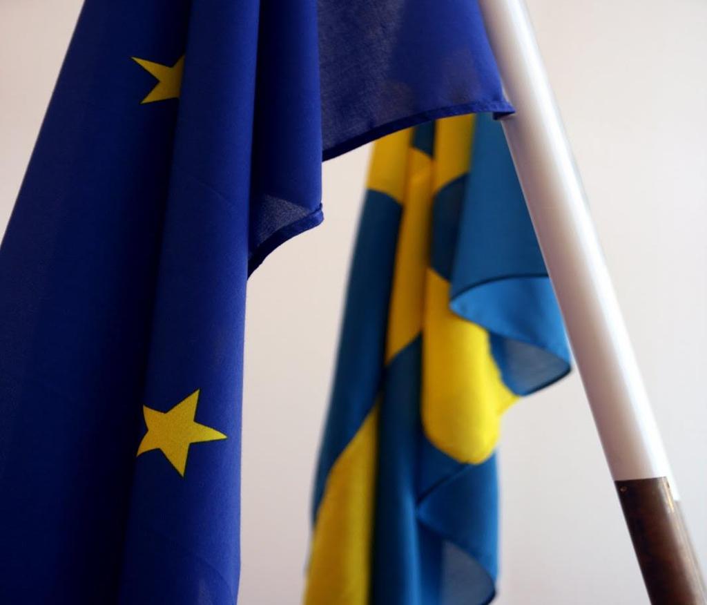 4. Vad har Kommissionen