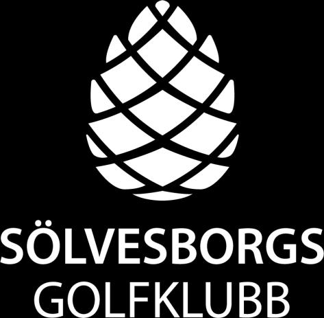 Årsredovisning för Sölvesborgs