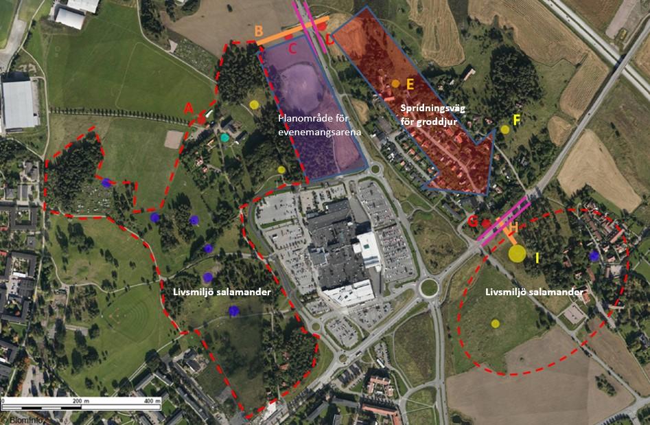 5 (8) Fig. 4: Plan för groddjursväg mellan Gränby och Brillinge, framtagen inom ramen för planeringen av evenemangsarenan.