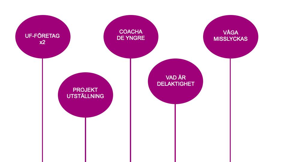 Vilka vägar vidare finns för UF-företagare? Kan man driva UF-företag flera gånger under gymnasieåren? Låt UF-företag vara en del av entreprenöriellt lärande och entreprenörskap.