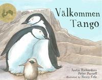 är Elsa, både en pojke, en flicka eller mittemellan