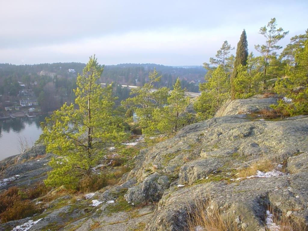 Det har betydelse för tillämpningen av regelverket om Natura 2000-områden.