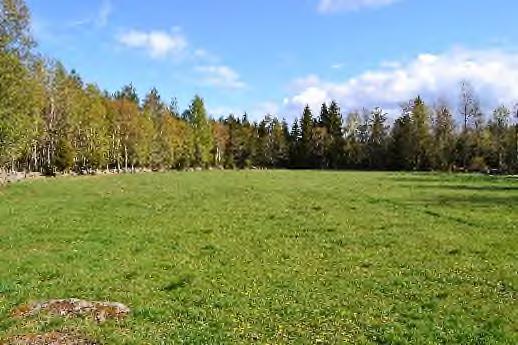 Uppvärmning med vattenburet värmesystem kopplat till vedpanna och ackumulatortankar som även har elpatron.