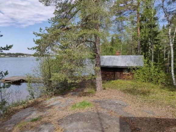 6 I utredningsområdet gjordes inga observationer av åkergroda.