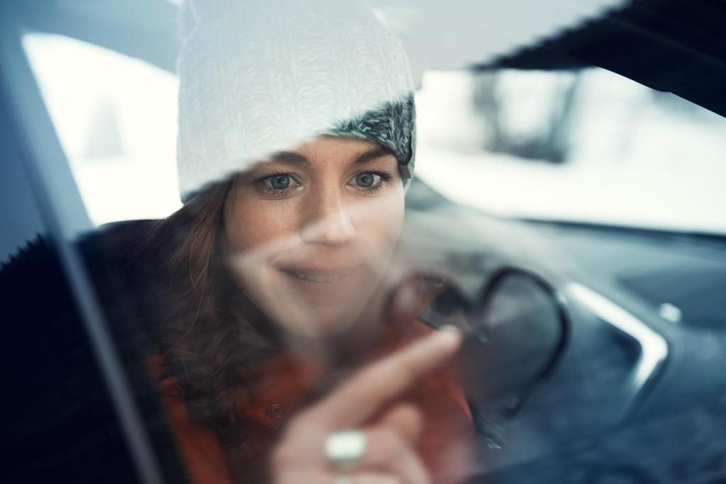INLEDNING Bildeve AB, 556083-8251, är återförsäljare för Volvo Personbilar Sverige AB och Renault Nordic AB och bedriver försäljning, uthyrning och service av Volvo, Renault och Dacia personbilar