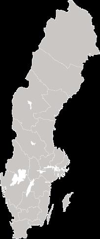 Sveriges Kommuner och Landsting (SKL) Är en arbetsgivar- och intresseorganisation Värnar lokalt och