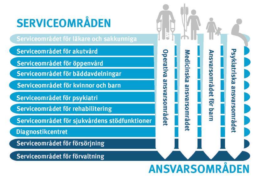 skaps- och vårdreformen är det viktigt att de servicekedjor och servicehelheter som är förknippade med rehabilitering blir beskrivna.