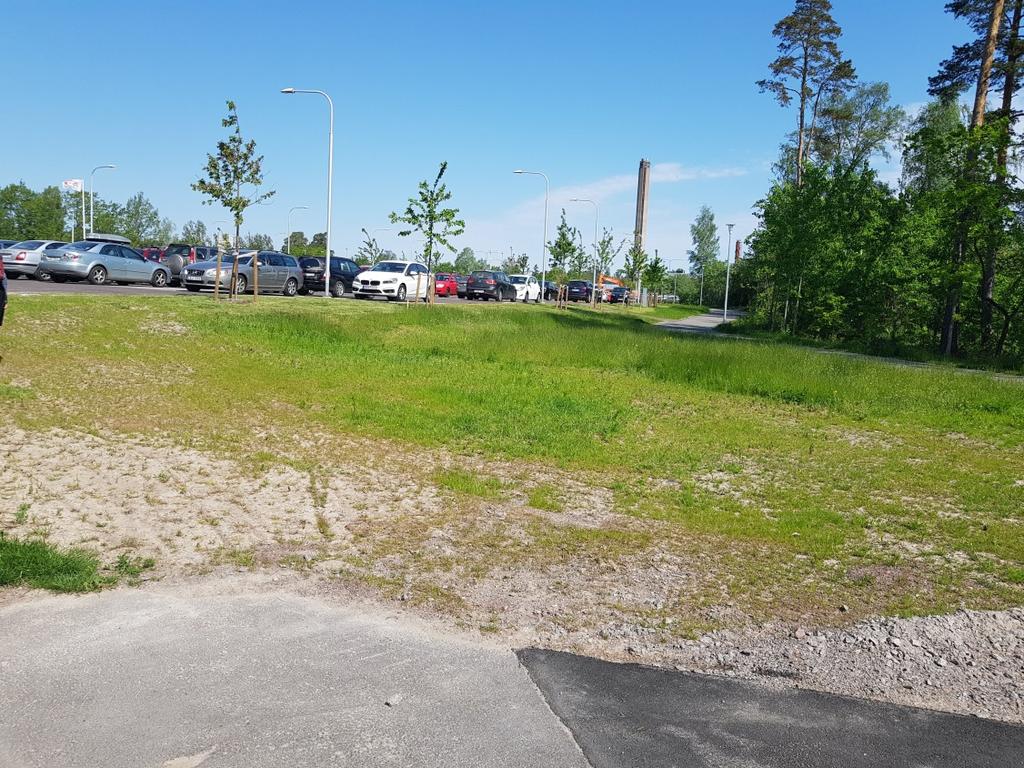 6 (7) Grönområde där plantering av buskar föreslås. Foto taget maj 2018. Som åtgärd ska gruset som ligger på denna yta tas bort och nytt gräs sås in. Låga buskar ska även planteras på området.