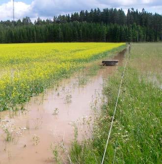 Kolla särskilt vilken information du hittar om: Naturreservat Natura 2000 biotopskydd artskydd fisk strandskydd. Översvämning i rapsfält (foto Anuschka Heeb).