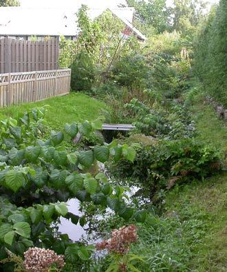 Vad kostar det att underhålla öppna diken? Det finns olika tekniker för att underhålla öppna diken. Den vanligaste är grävmaskin med vanlig skopa där växtlighet och sediment tas bort.