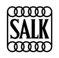 VERKSAMHETSBERÄTTELSE 2018 106:e verksamhetsåret Styrelsen för Stockholms Allmänna Lawntennis Klubb (SALK) får härmed lämna följande berättelse för verksamhetsåret 2018.