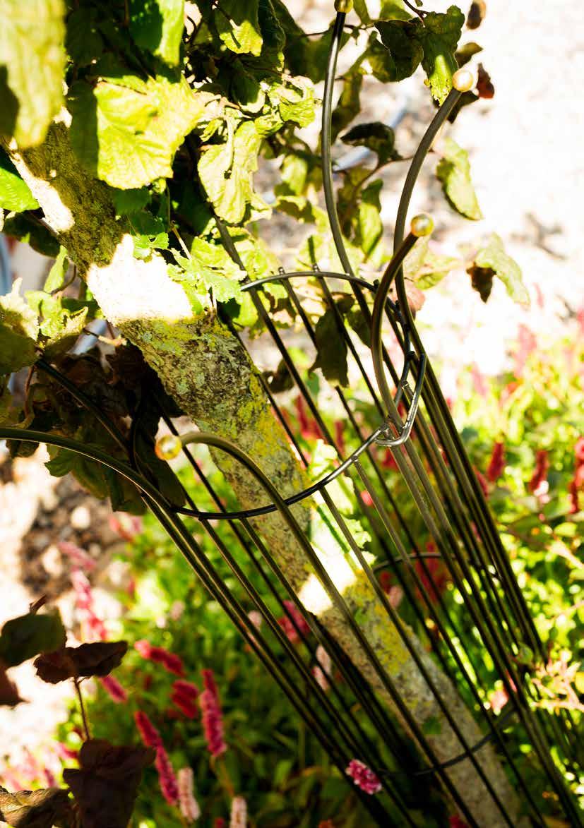 22 Spaljéer & växtstöd Trellies & plant support Spaljéer & växtstöd Trellies & plant support 23 21